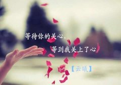 等待你的關心,等到我關上了心 等待你的關心,等到我關上了心