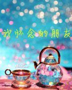 懷念朋友的句子