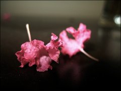 往事如風,癡心只是難懂 往事如風,癡心只是難懂