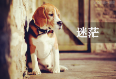 在看不到意義的時候尋求人生的意義 在看不到意義的時候尋求人生的意義
