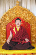 普巴扎西仁波切禪語50句 普巴扎西仁波切禪語50句