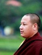 丹增志美仁波切禪語50句 丹增志美仁波切禪語50句