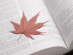 關于成長的優美句子
