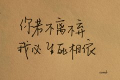 不離不棄的感人句子 不離不棄的感人句子