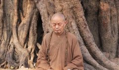 凈慧長(zhǎng)老禪語50句（四）