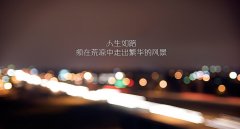 鼓舞自己的抒情句子 鼓舞自己的抒情句子