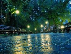 關于雨天的優(yōu)美句子