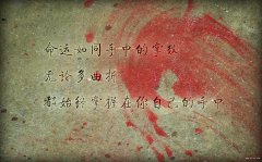 網(wǎng)絡經(jīng)典語錄