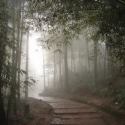 關于秋雨的唯美句子 關于秋雨的唯美句子