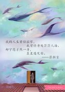 他來了請閉眼經(jīng)典語錄