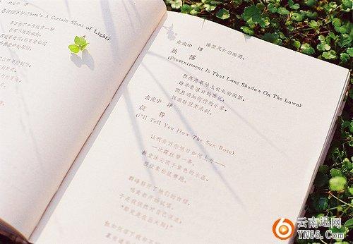 英語(yǔ)勵(lì)志名言