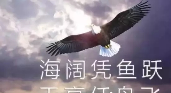 克服困難的名言 克服困難的名言