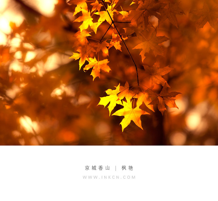 秋風祝福語 秋風祝福語