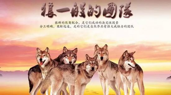 簡(jiǎn)短狼性團(tuán)隊(duì)口號(hào) 霸氣押韻