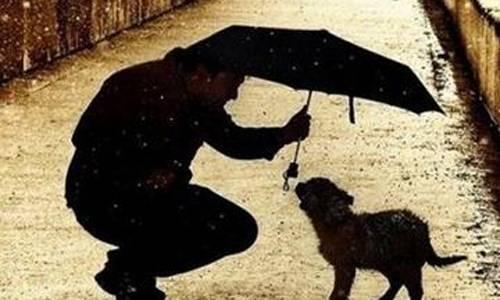 關(guān)于善良的名言 關(guān)于善良的名言