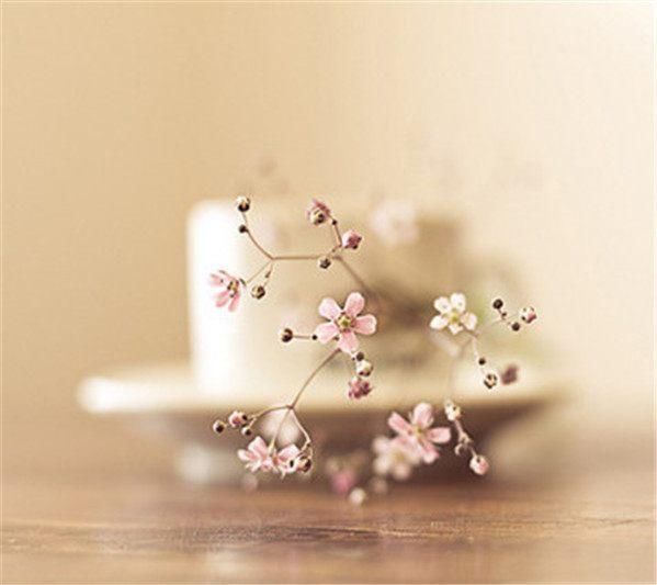 對(duì)老婆出軌失望的句子