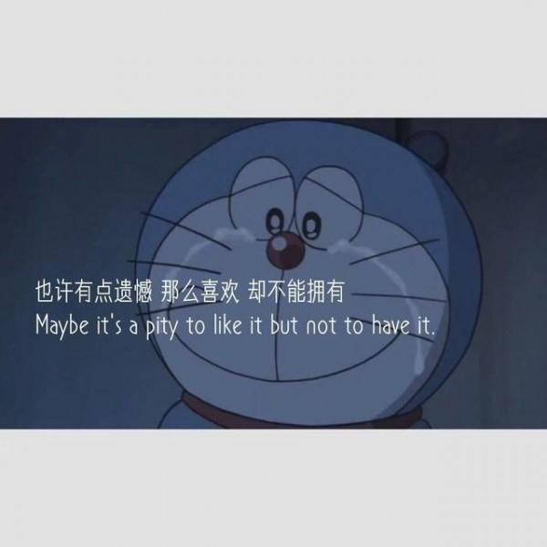 愛情中對你失望的句子