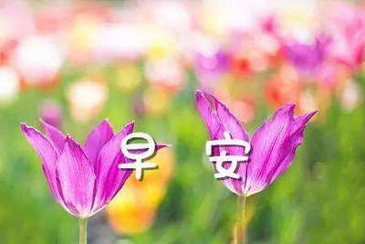 關于養(yǎng)生問候短信