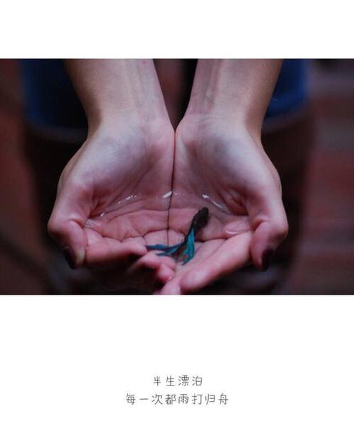 美到讓人心碎的句子