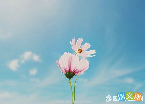有關感恩與奉獻的句子 有關感恩與奉獻的句子