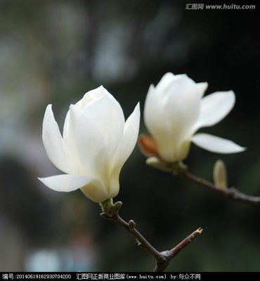 問(wèn)候短信以愛(ài)心溫暖