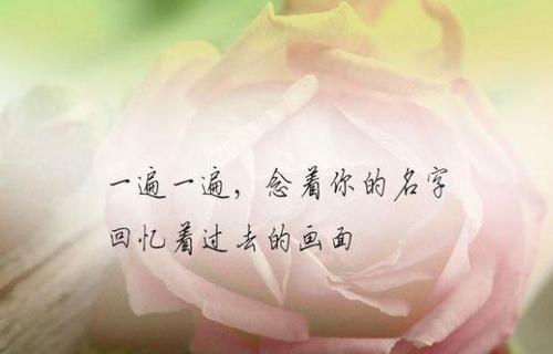 向情人告白時心碎的句子