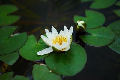 習慣了每天的短信問候 習慣了每天的短信問候