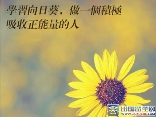 讓男人女人心碎的句子