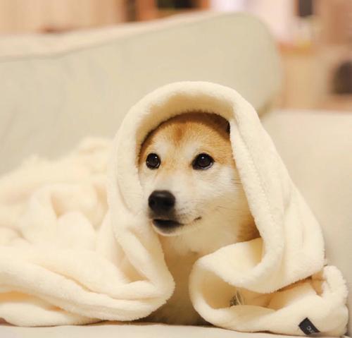 讓開心的句子 讓開心的句子