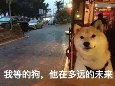最新超個性簡短搞笑句子 適合發朋友圈的幽默句子 最新超個性簡短搞笑句子 適合發朋友圈的幽默句子