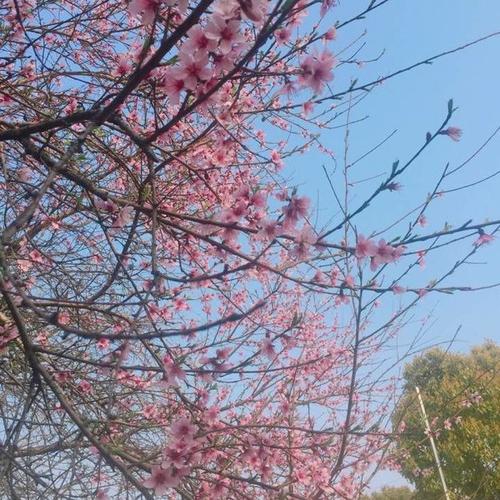 讓對(duì)方開心的句子