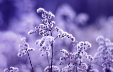 對(duì)自己的媽媽失望的句子