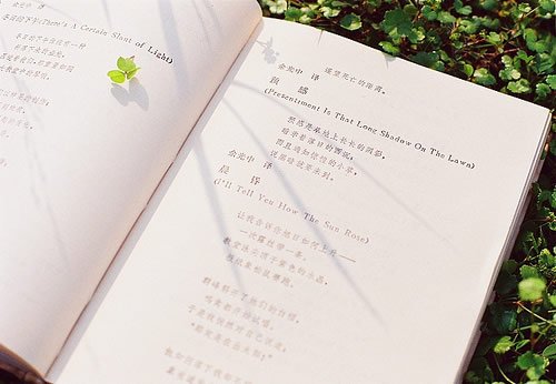 心太亂不開(kāi)心的句子