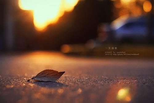 表達(dá)親情疏遠(yuǎn)的句子