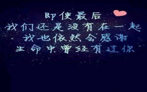 認識你我不后悔的句子
