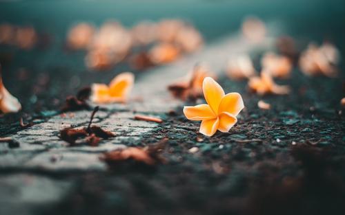 形容親情的句子英語 形容親情的句子英語