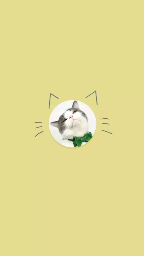 描寫開心神態(tài)的句子