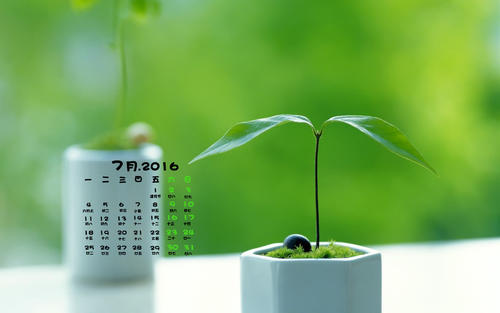 關于親情珍惜的句子說說心情短語