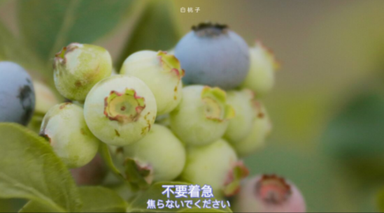 情侶低調(diào)撒狗糧的句子 甜蜜的官宣秀恩愛說說 情侶低調(diào)撒狗糧的句子 甜蜜的官宣秀恩愛說說