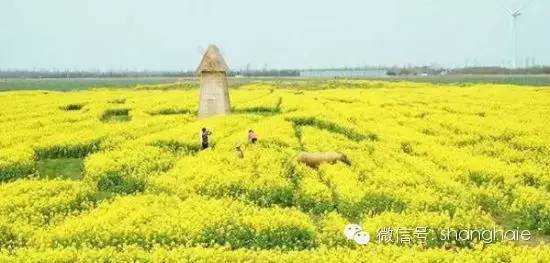 祝你開(kāi)心快樂(lè)的句子 簡(jiǎn)短祝開(kāi)心快樂(lè)句子 祝你開(kāi)心快樂(lè)的句子 簡(jiǎn)短祝開(kāi)心快樂(lè)句子