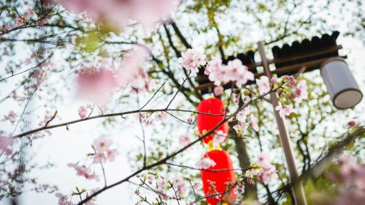 開(kāi)心和快樂(lè)的古風(fēng)句子 關(guān)于快樂(lè)的古風(fēng)句子 開(kāi)心和快樂(lè)的古風(fēng)句子 關(guān)于快樂(lè)的古風(fēng)句子