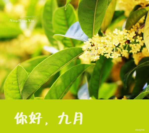 九月你好愿所有美好不期而遇所有幸運(yùn)如約而至 九月你好愿所有美好不期而遇所有幸運(yùn)如約而至
