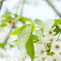 路遙關(guān)于親情的句子 路遙經(jīng)典親情的句子 路遙關(guān)于親情的句子 路遙經(jīng)典親情的句子