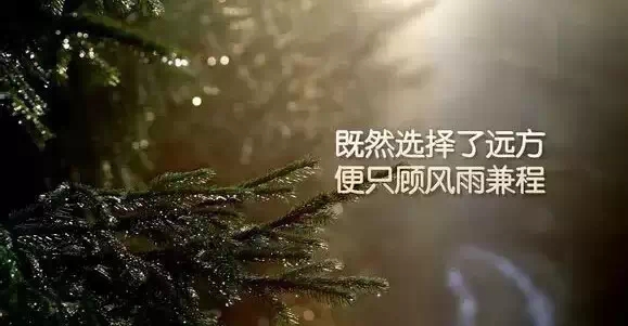 經(jīng)典有內(nèi)涵的句子