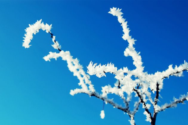 霜降說說經(jīng)典句子 心情短語 霜降說說經(jīng)典句子 心情短語