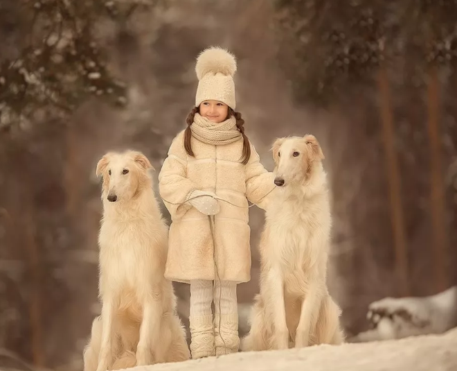 下雪的幽默句子 下雪的幽默句子