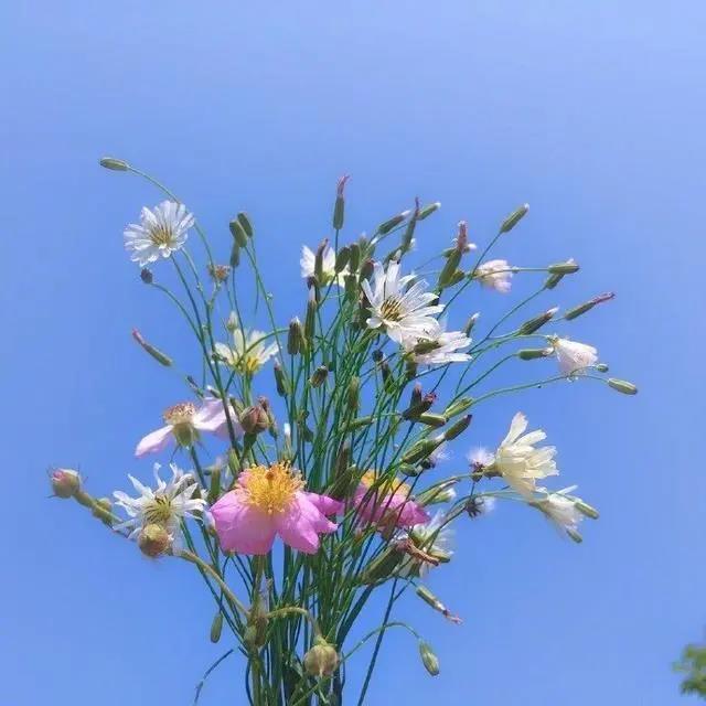 未來可期的正能量句子，