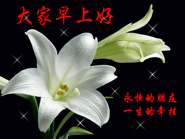 最能打動(dòng)人心的早安問(wèn)候