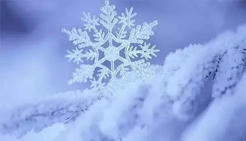 含有雪的溫柔文案