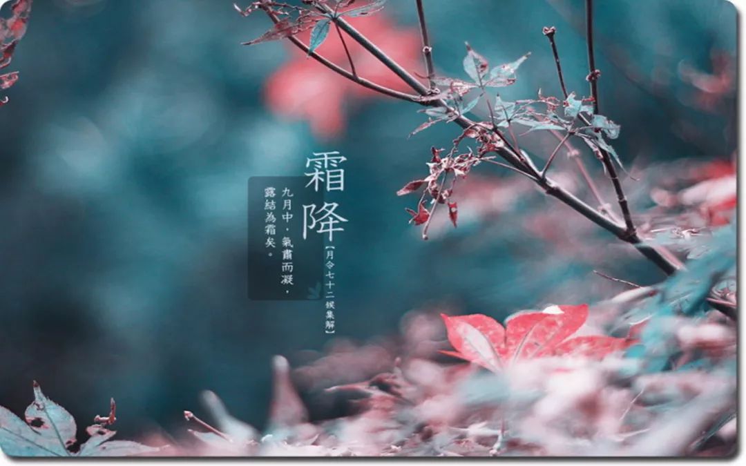 暖意綿綿霜降的句子 暖意綿綿霜降的句子